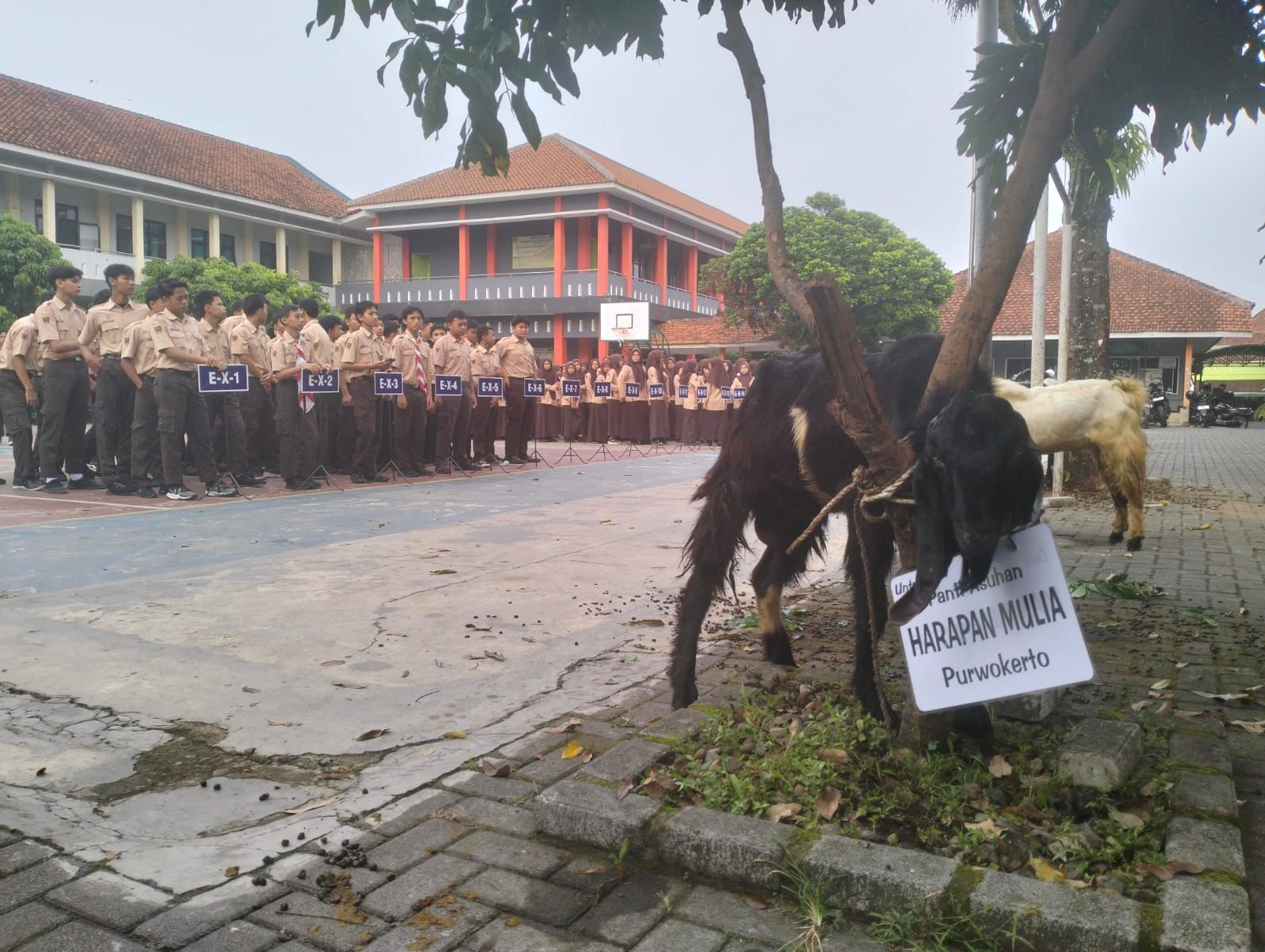 Sumber/ Tim Buana News