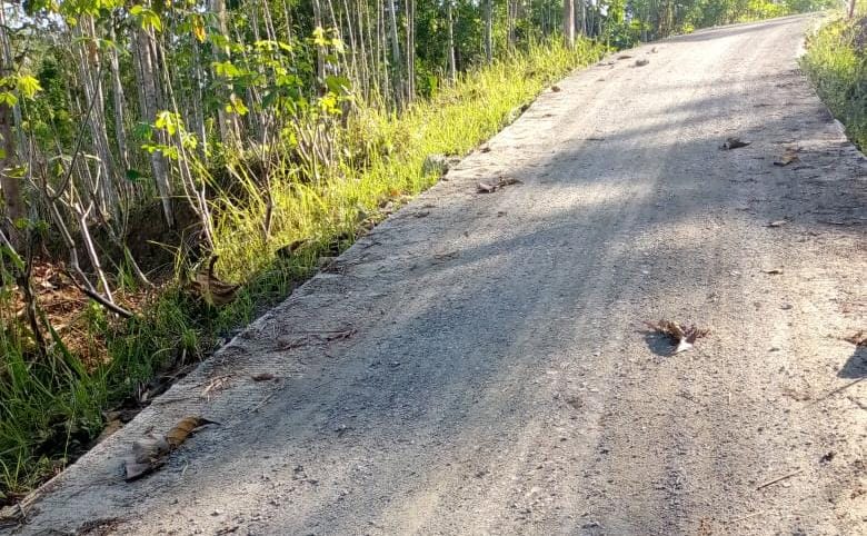Sumber/ Tim Buana News
