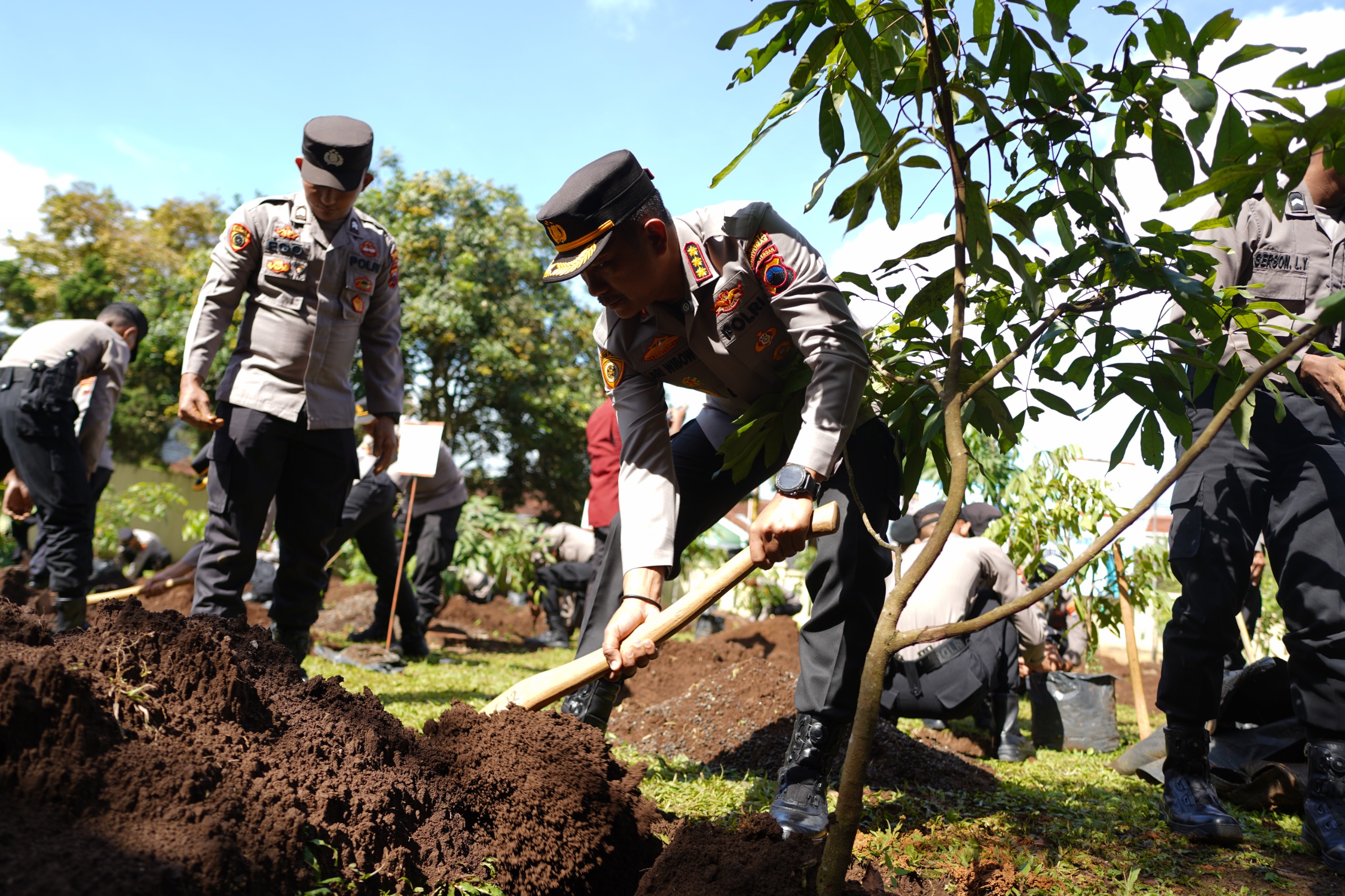 Sumber/ Buana News