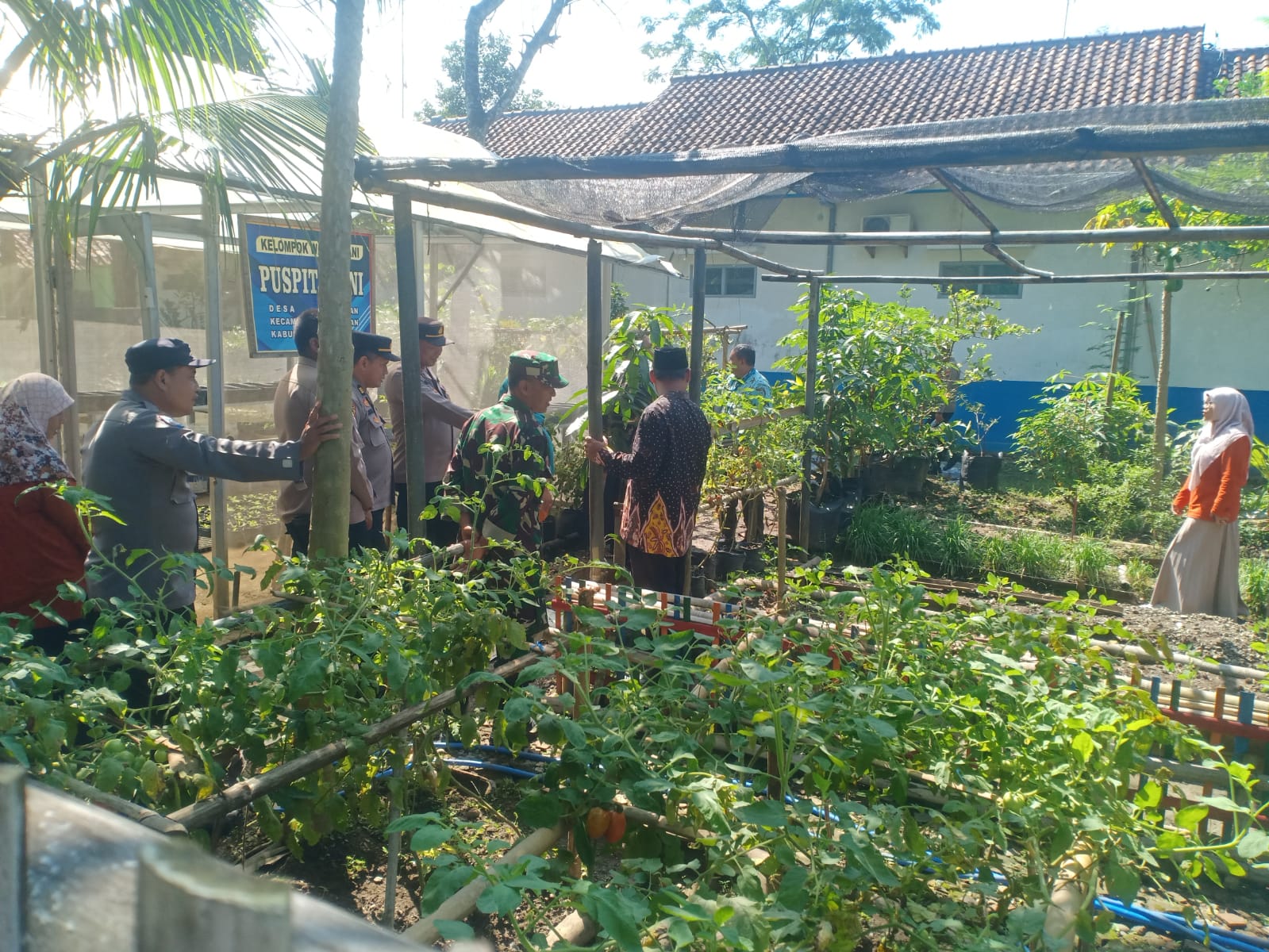 Sumber/ Istewa