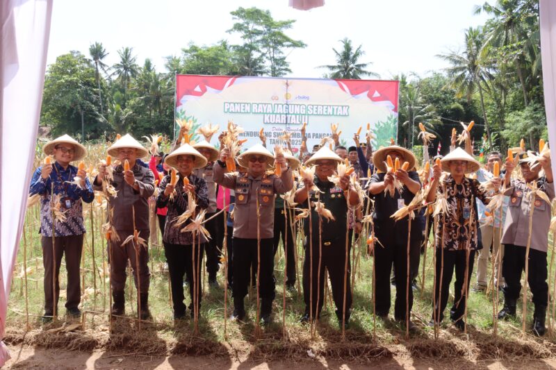 Sumber/ Istimewa