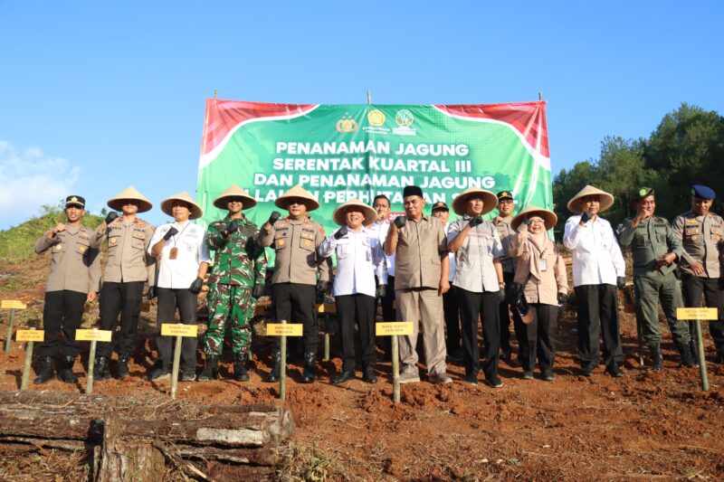Sumber/ Istimewa