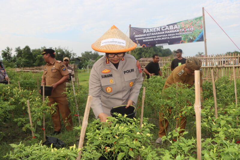 Sumber/ Istimewa