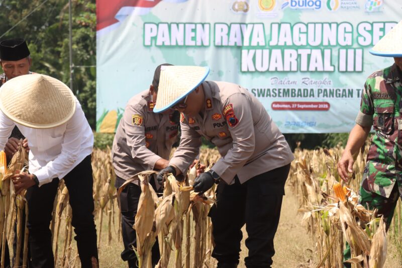 Sumber/ Istimewa
