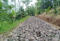 Sumber/ Buana News