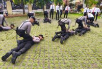 Sumber/ Istimewa