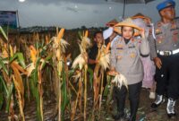 Sumber/ Istimewa