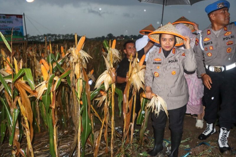 Sumber/ Istimewa