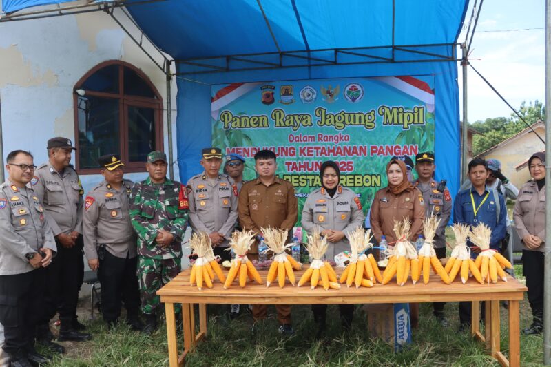 Sumber/ Istimewa