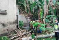 Sumber/ Istimewa