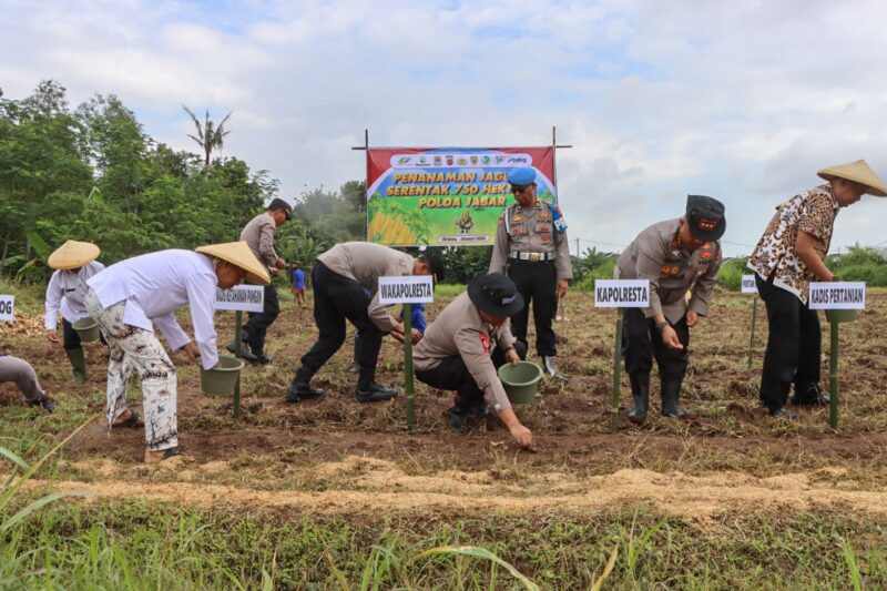 Sumber/ Istimewa