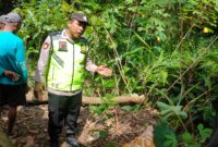 Sumber/ Istimewa