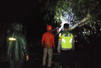 Sumber/ Istimewa