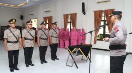Sumber/ Istimewa