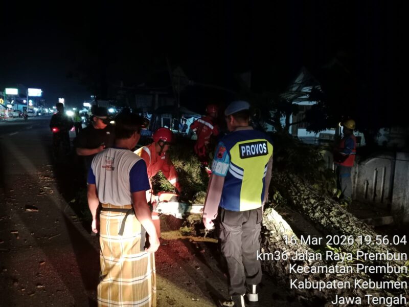 Sumber/ Istimewa