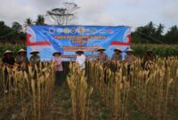 Sumber/ Istimewa