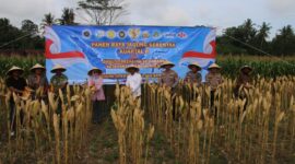 Sumber/ Istimewa