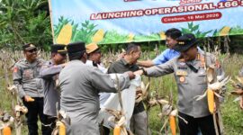 Sumber/ Istimewa