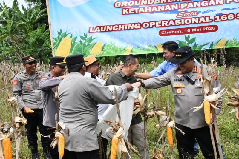 Sumber/ Istimewa
