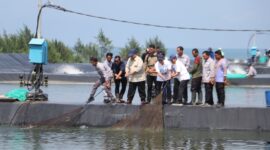Sumber/ Istimewa