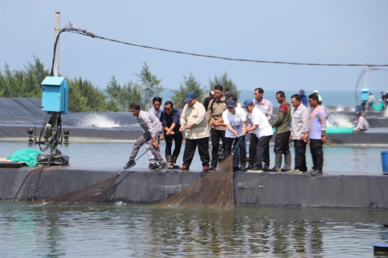 Sumber/ Istimewa